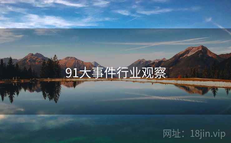 91大事件行业观察