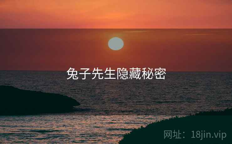 兔子先生隐藏秘密