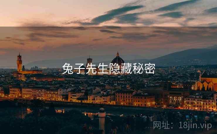 兔子先生隐藏秘密