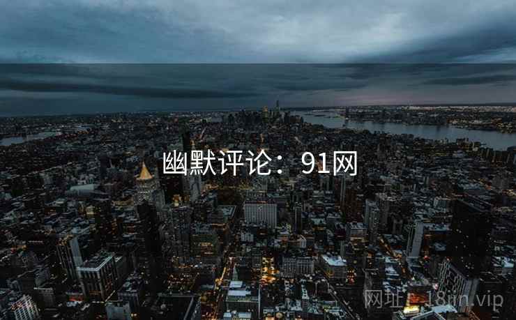 幽默评论：91网