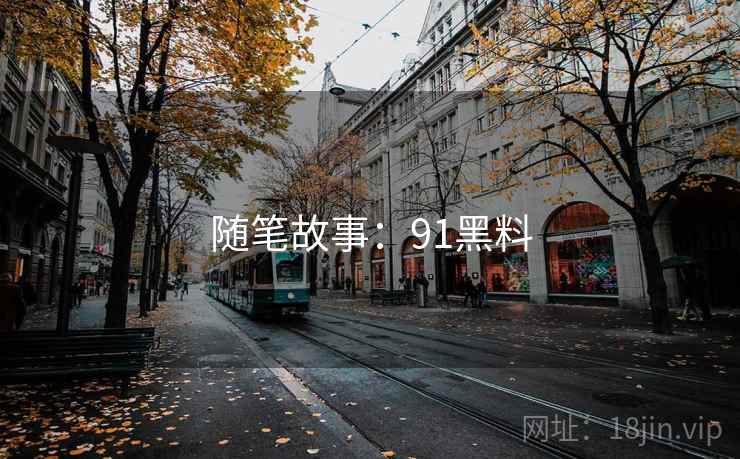 随笔故事：91黑料