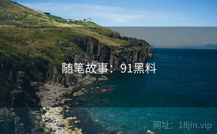 随笔故事：91黑料