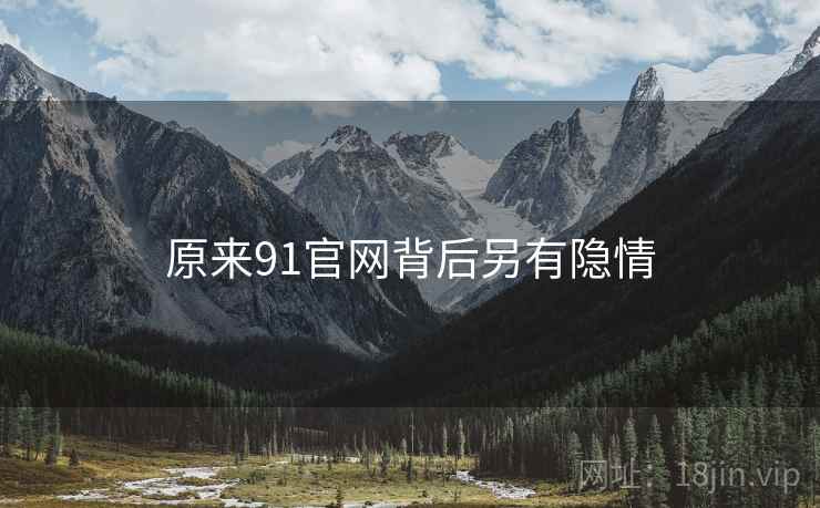 原来91官网背后另有隐情