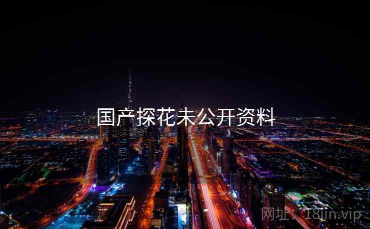 国产探花未公开资料