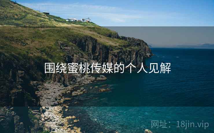 围绕蜜桃传媒的个人见解