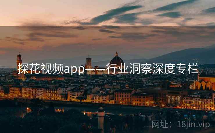 探花视频app——行业洞察深度专栏