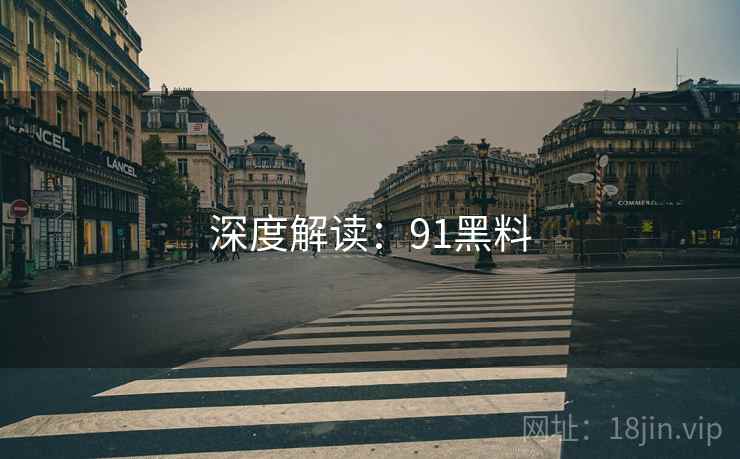深度解读：91黑料