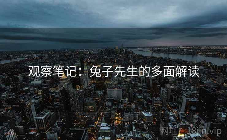 观察笔记：兔子先生的多面解读