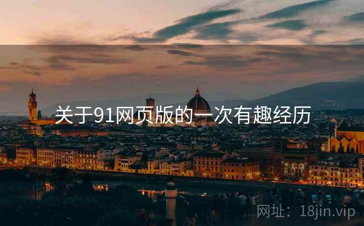 关于91网页版的一次有趣经历