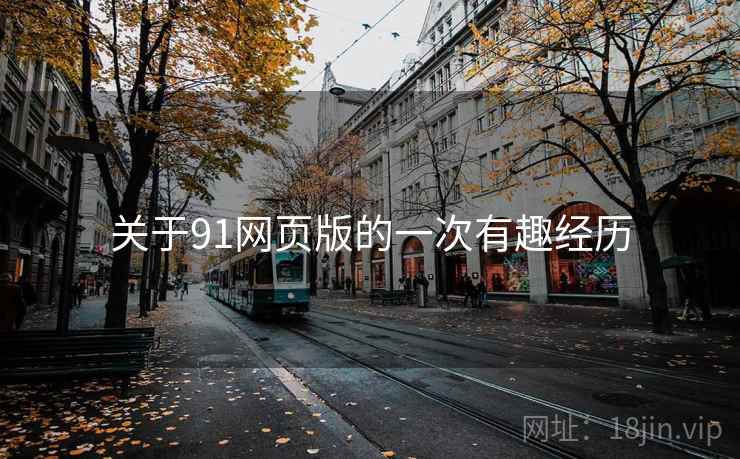 关于91网页版的一次有趣经历