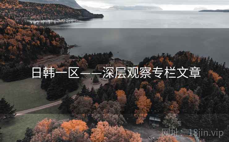 日韩一区——深层观察专栏文章