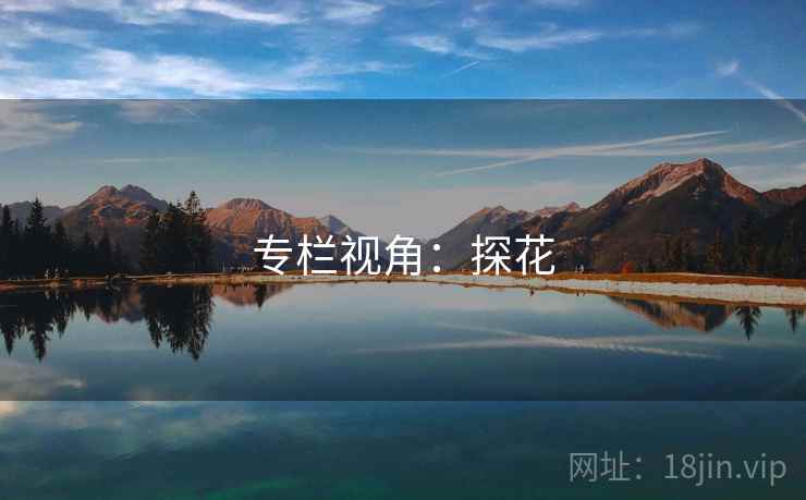 专栏视角：探花