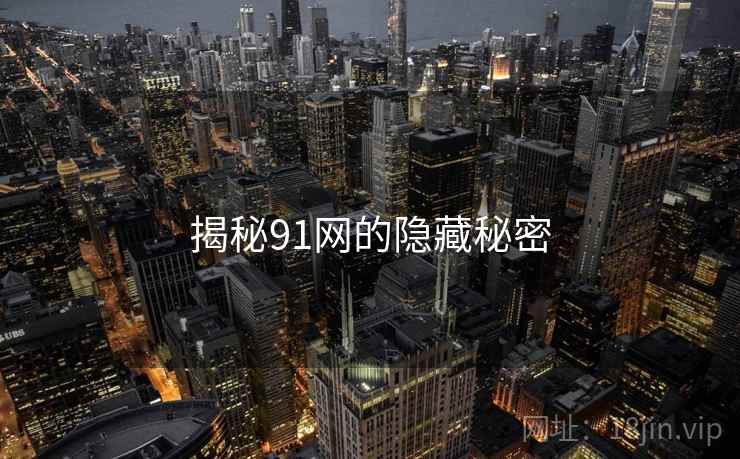 揭秘91网的隐藏秘密
