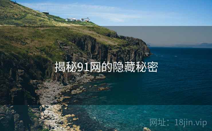 揭秘91网的隐藏秘密