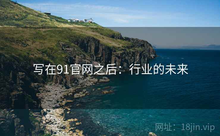写在91官网之后：行业的未来