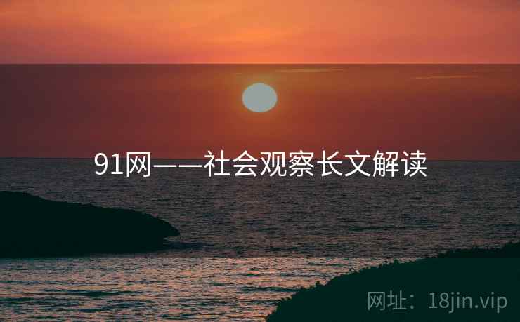 91网——社会观察长文解读