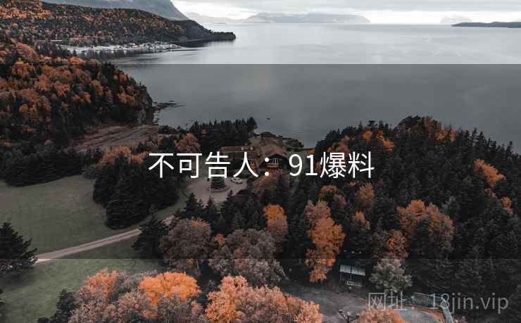 不可告人：91爆料
