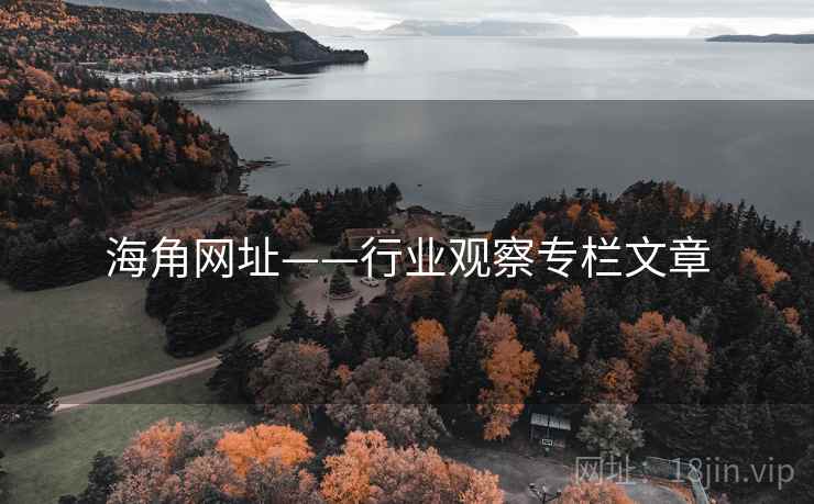 海角网址——行业观察专栏文章