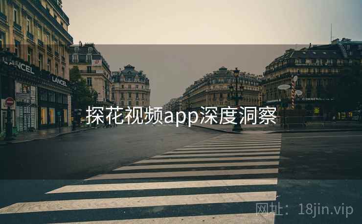 探花视频app深度洞察 探花视频app深度洞察