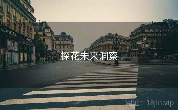 探花未来洞察 探花未来洞察