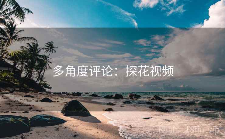 多角度评论：探花视频