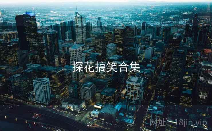 探花搞笑合集